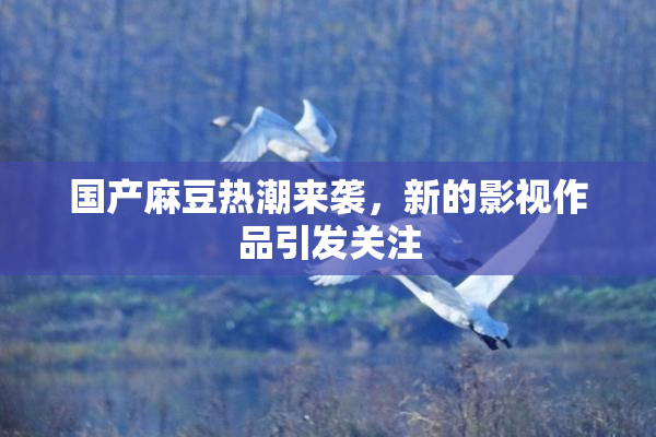 国产麻豆热潮来袭，新的影视作品引发关注