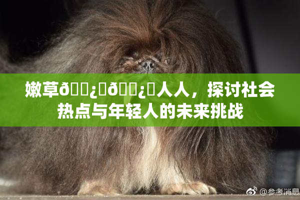 嫩草🌿‌🌿‌人人，探讨社会热点与年轻人的未来挑战