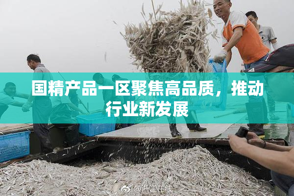 国精产品一区聚焦高品质，推动行业新发展