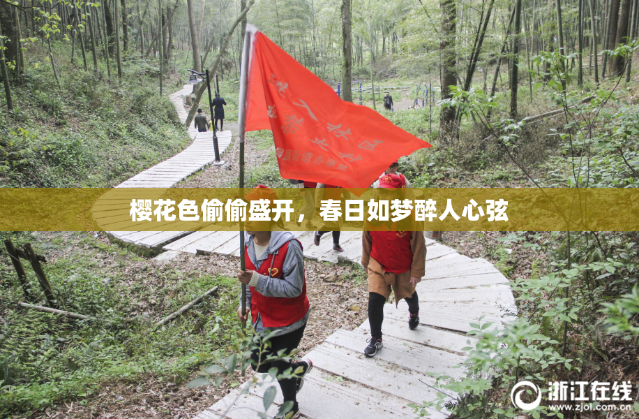 樱花色偷偷盛开，春日如梦醉人心弦