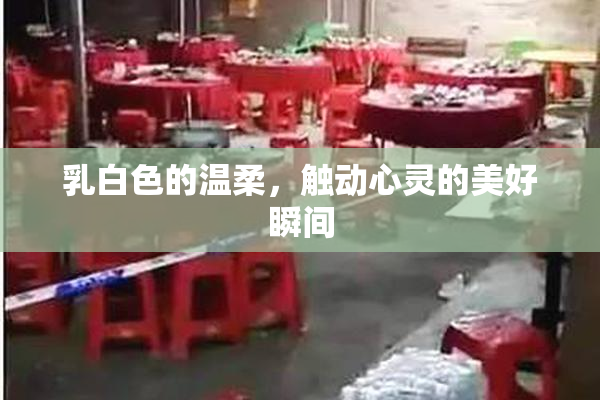 乳白色的温柔，触动心灵的美好瞬间