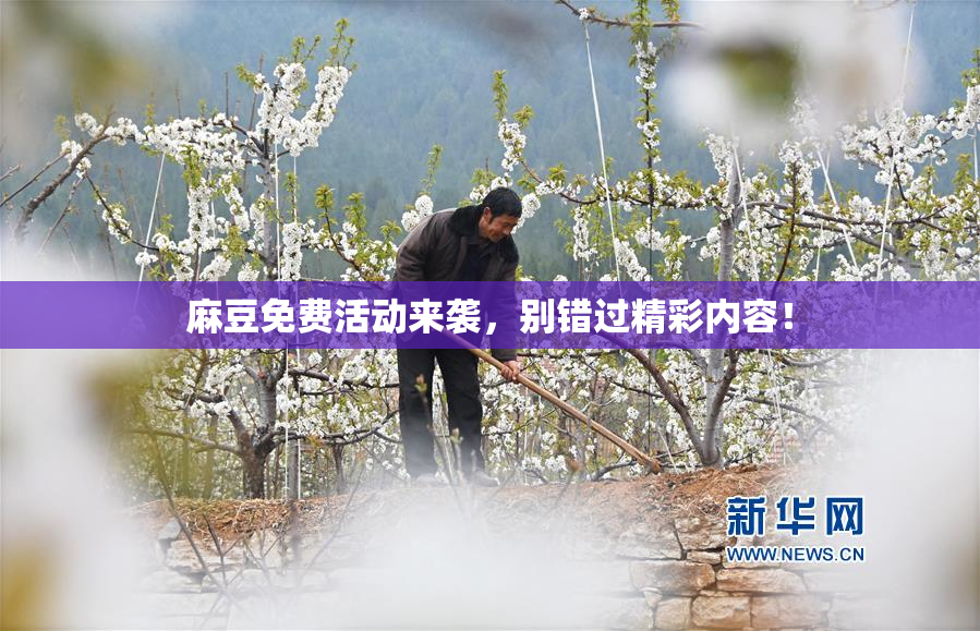 麻豆免费活动来袭，别错过精彩内容！