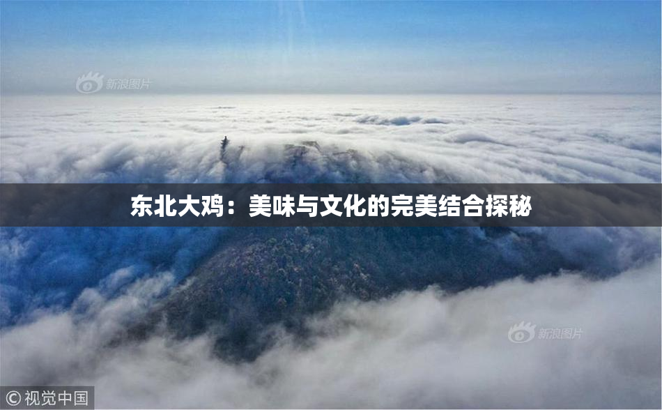 东北大鸡：美味与文化的完美结合探秘