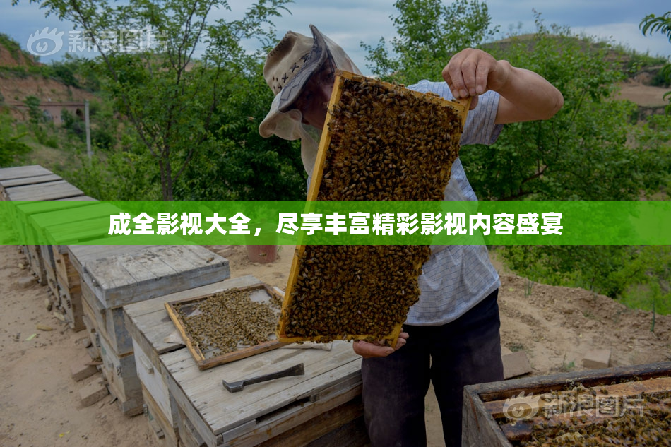 成全影视大全，尽享丰富精彩影视内容盛宴