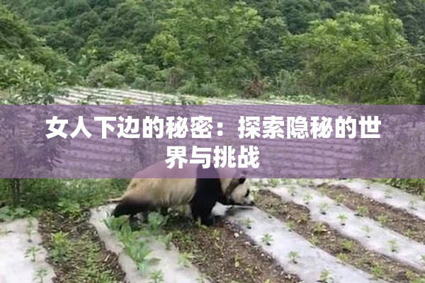 女人下边的秘密：探索隐秘的世界与挑战