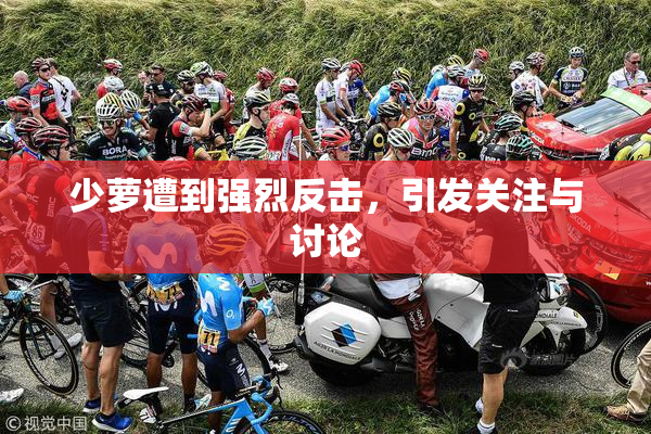 少萝遭到强烈反击，引发关注与讨论