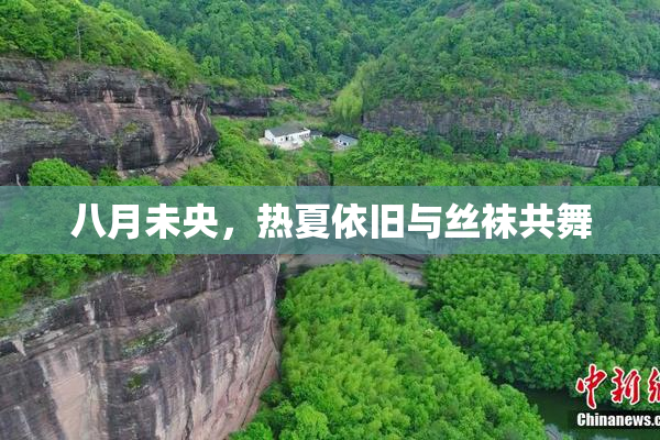八月未央，热夏依旧与丝袜共舞