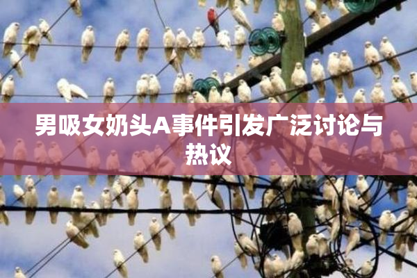 男吸女奶头A事件引发广泛讨论与热议