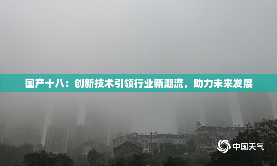 国产十八：创新技术引领行业新潮流，助力未来发展