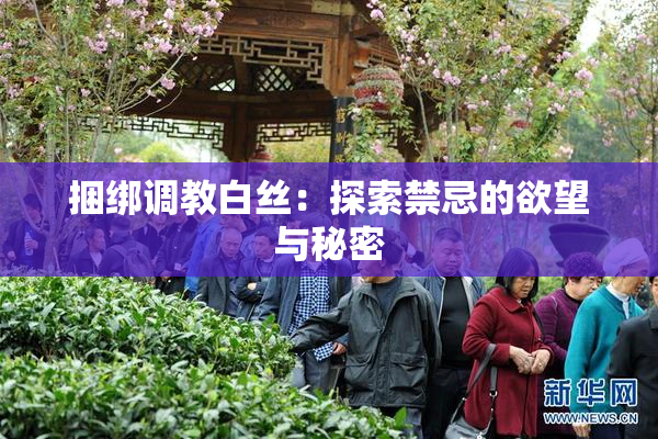 捆绑调教白丝：探索禁忌的欲望与秘密