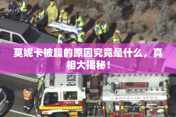 莫妮卡被躁的原因究竟是什么，真相大揭秘！