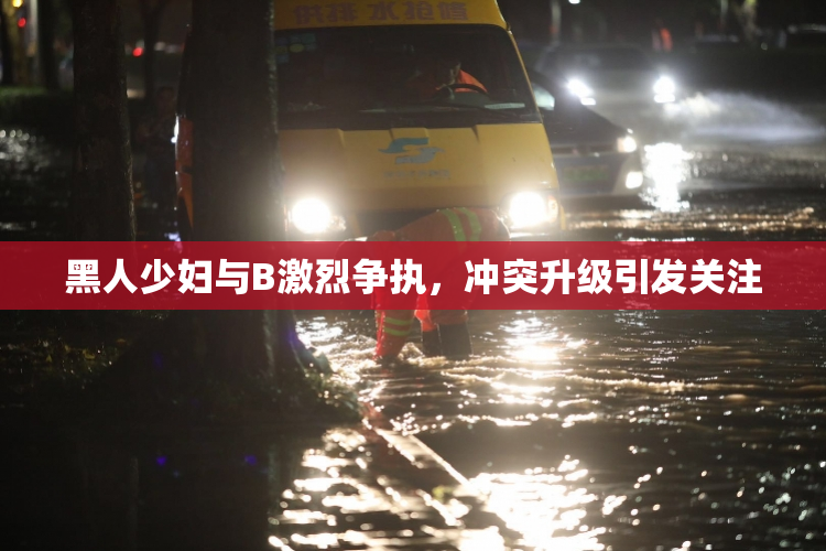 黑人少妇与B激烈争执，冲突升级引发关注