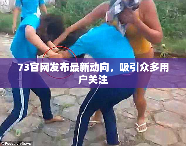 73官网发布最新动向，吸引众多用户关注