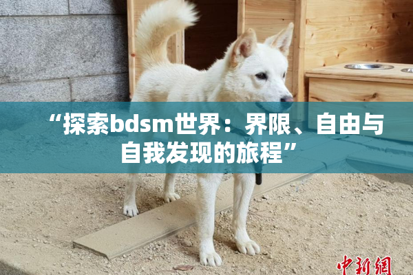 “探索bdsm世界：界限、自由与自我发现的旅程”