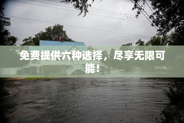 免费提供六种选择，尽享无限可能！