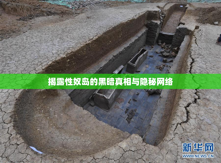 揭露性奴岛的黑暗真相与隐秘网络