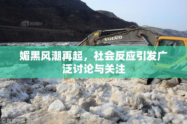 媚黑风潮再起，社会反应引发广泛讨论与关注