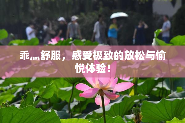 乖灬舒服，感受极致的放松与愉悦体验！