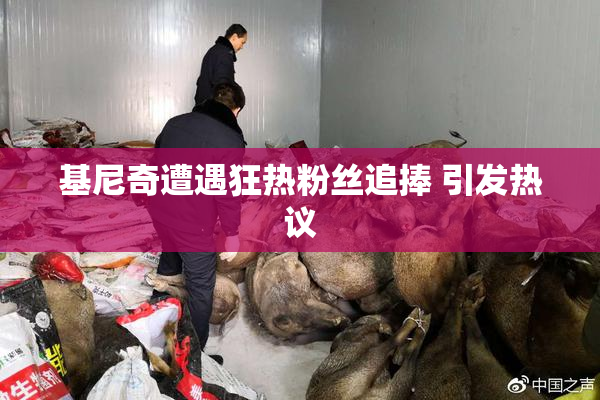 基尼奇遭遇狂热粉丝追捧 引发热议