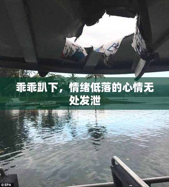 乖乖趴下，情绪低落的心情无处发泄