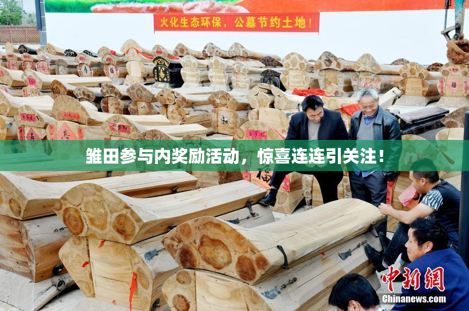 雏田参与内奖励活动，惊喜连连引关注！