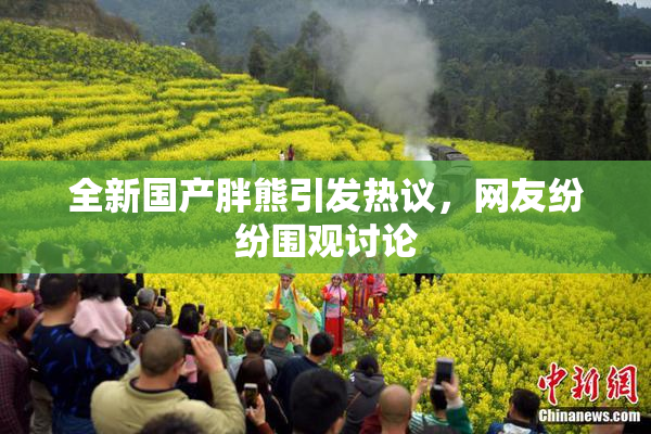 全新国产胖熊引发热议，网友纷纷围观讨论