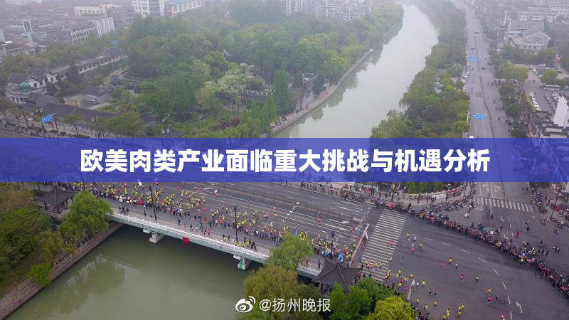 欧美肉类产业面临重大挑战与机遇分析