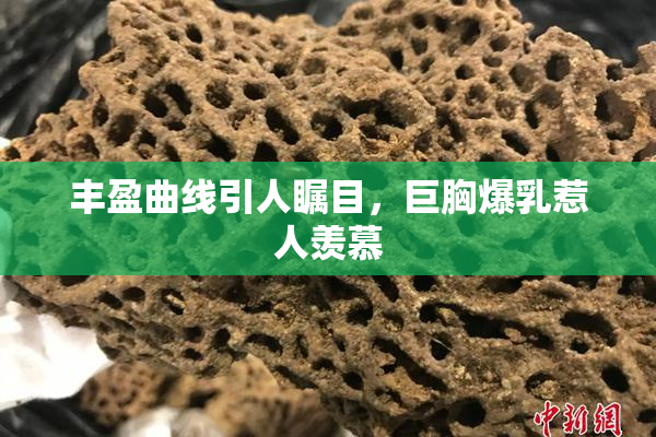 丰盈曲线引人瞩目，巨胸爆乳惹人羡慕