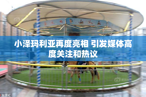 小泽玛利亚再度亮相 引发媒体高度关注和热议