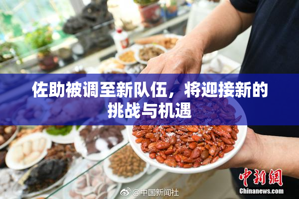 佐助被调至新队伍，将迎接新的挑战与机遇