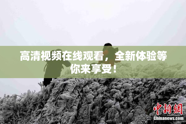 高清视频在线观看，全新体验等你来享受！