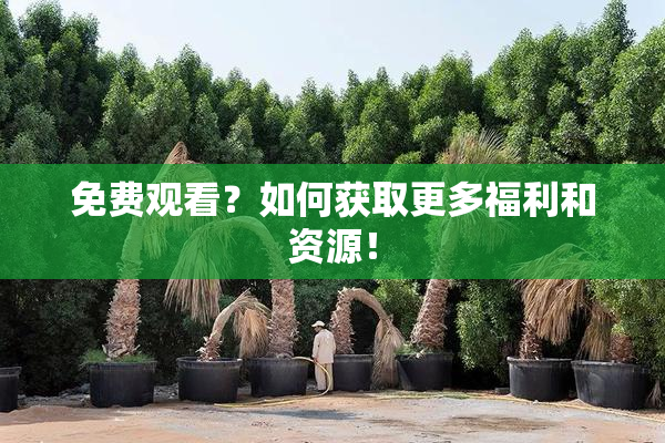 免费观看？如何获取更多福利和资源！