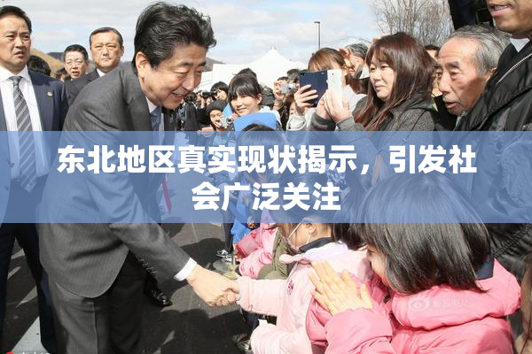 东北地区真实现状揭示，引发社会广泛关注