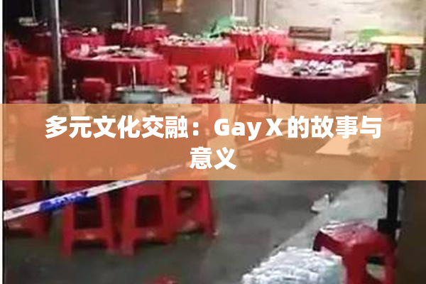 多元文化交融：GayⅩ的故事与意义