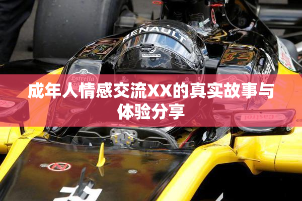 成年人情感交流XX的真实故事与体验分享
