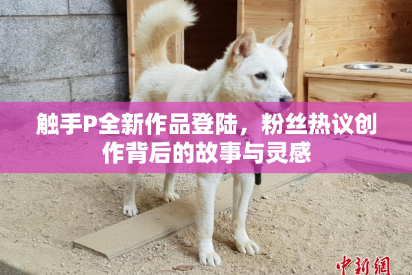 触手P全新作品登陆，粉丝热议创作背后的故事与灵感