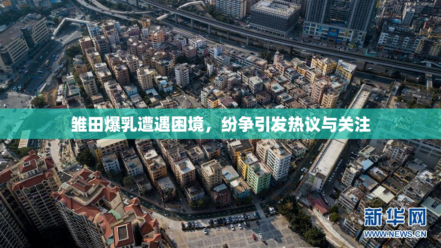 雏田爆乳遭遇困境，纷争引发热议与关注