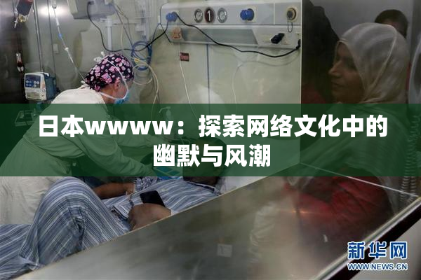 日本wwww：探索网络文化中的幽默与风潮