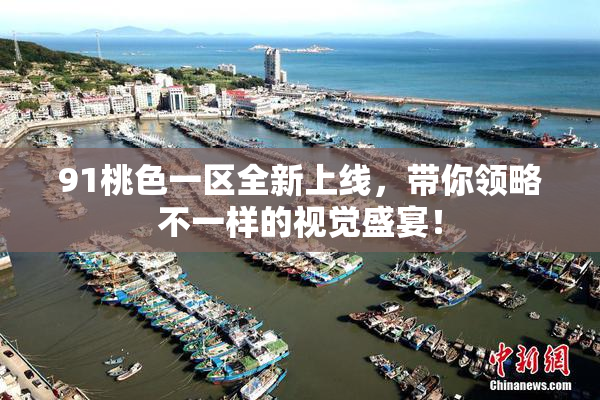 91桃色一区全新上线，带你领略不一样的视觉盛宴！