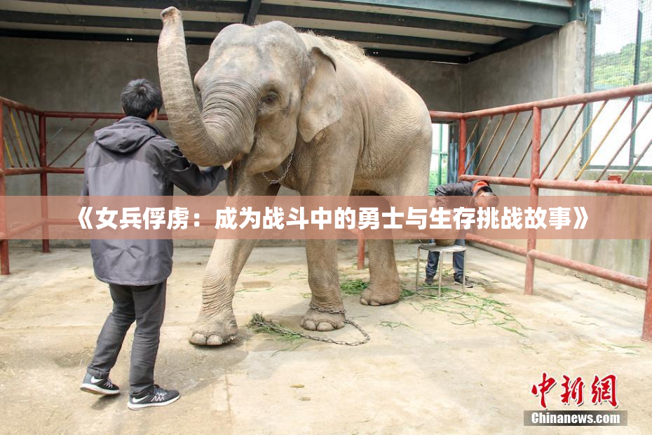 《女兵俘虏：成为战斗中的勇士与生存挑战故事》