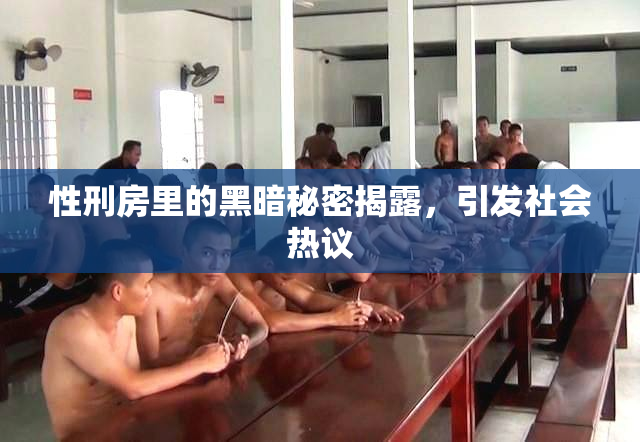 性刑房里的黑暗秘密揭露，引发社会热议
