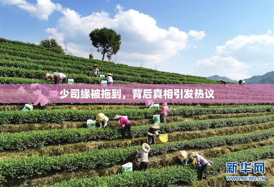 少司缘被拖到，背后真相引发热议