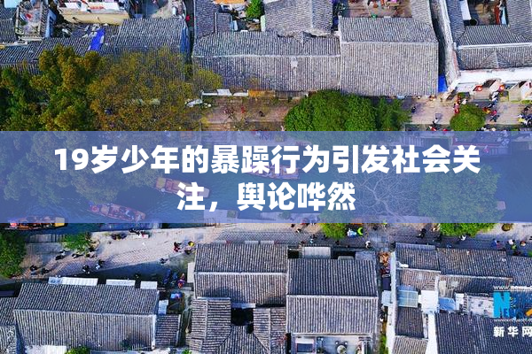 19岁少年的暴躁行为引发社会关注，舆论哗然