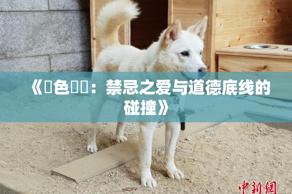 《黃色亂倫：禁忌之爱与道德底线的碰撞》