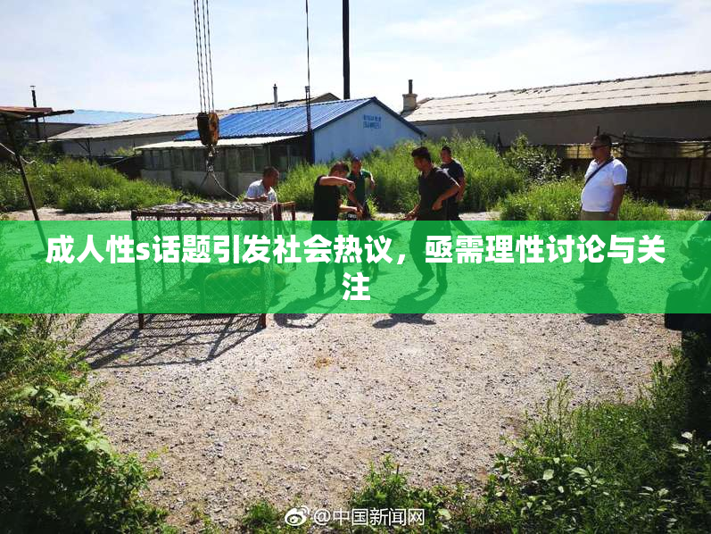 成人性s话题引发社会热议，亟需理性讨论与关注