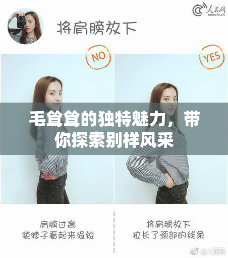 毛耸耸的独特魅力，带你探索别样风采