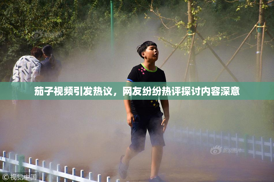茄子视频引发热议，网友纷纷热评探讨内容深意