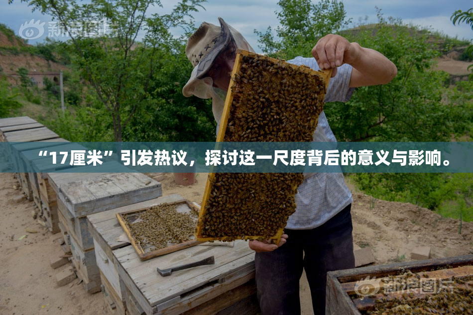 “17厘米”引发热议，探讨这一尺度背后的意义与影响。