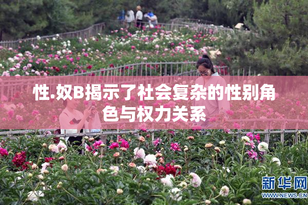 性.奴B揭示了社会复杂的性别角色与权力关系