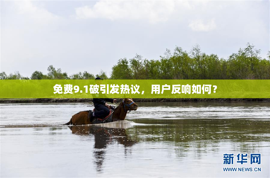 免费9.1破引发热议，用户反响如何？